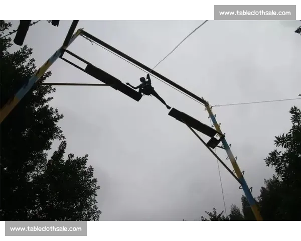 凝聚激情点燃梦想的体育比赛口号力量与荣耀同行青春奋进拼搏共赢