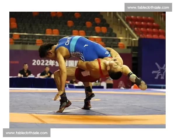 高清摔跤比赛下载大全精彩赛事回放与经典对决合集资源分享指南